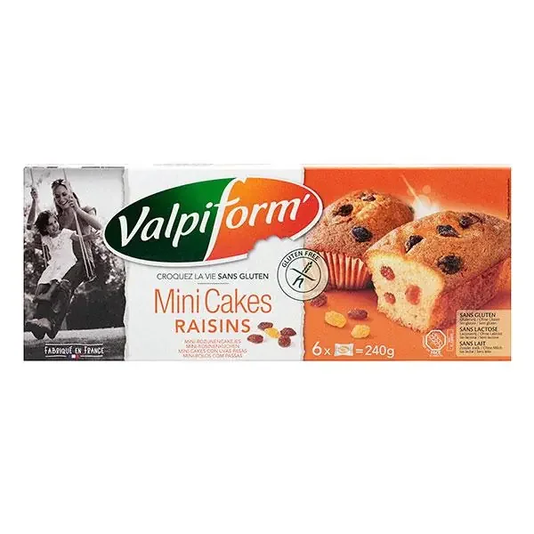 6 mini cakes aux raisins 240g
