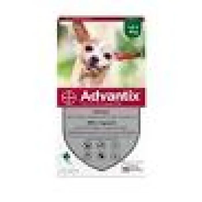 Advantix Tres Petit Chien-4×0,4ml 1bte