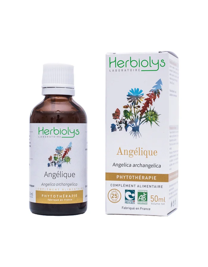Angélique – Extrait de Plante fraîche certifié BIO