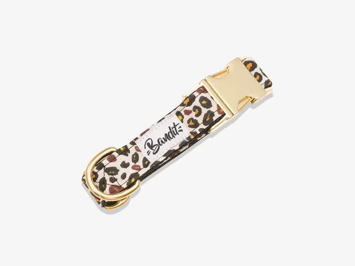 Bandit – Collier pour chien léopard – XS