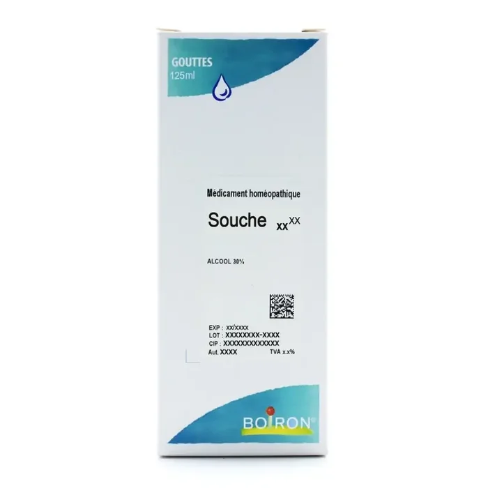 Boiron Harpagophytum 10DH gouttes buvable
