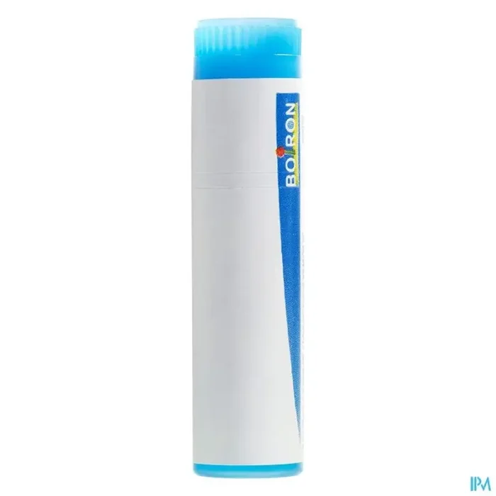Boiron influenzinum 9ch globules 1g
