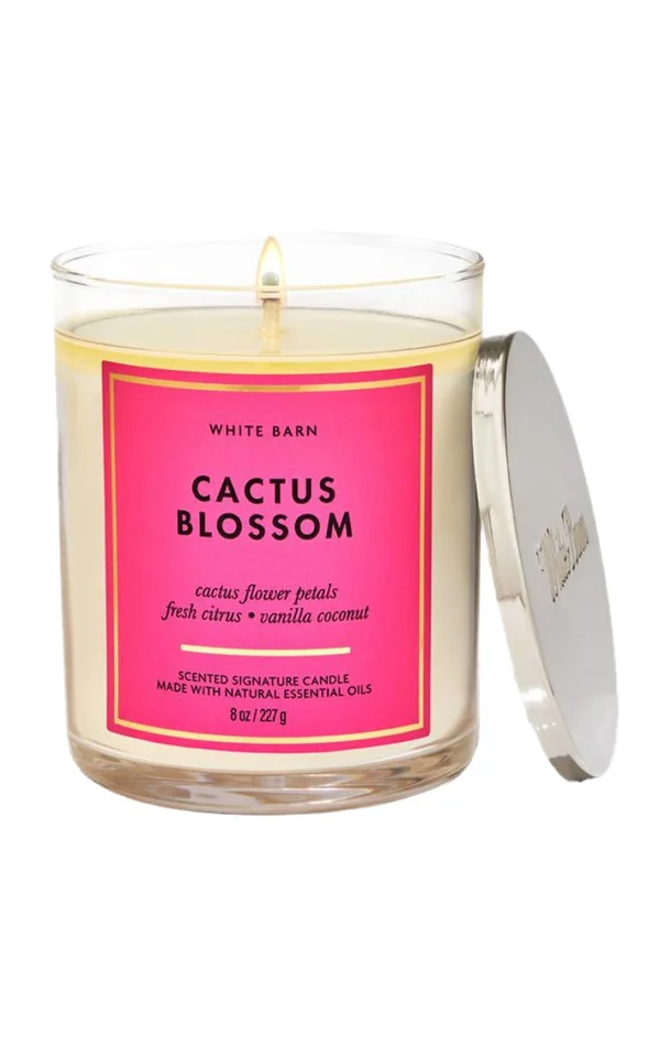 Bougie parfumée – Cactus Blossom – Agrumes & noix de coco – 227 g