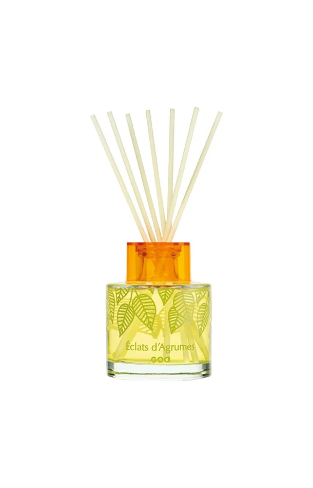 Bouquet parfumé Goatier – Éclats d’agrumes – 200 ml