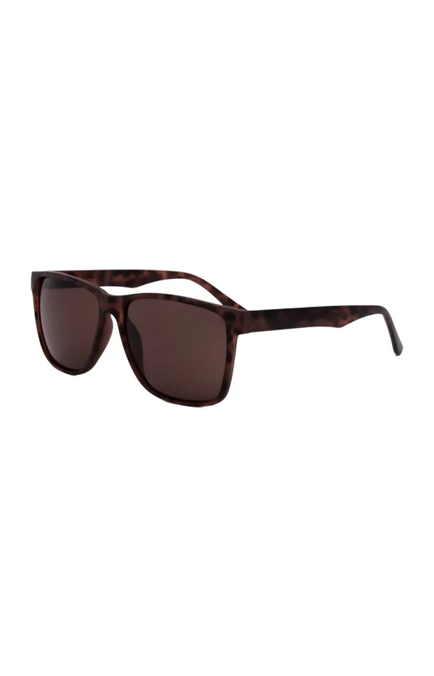 Calvin Klein – Lunettes de soleil – Catégorie 3 – Homme-Marron