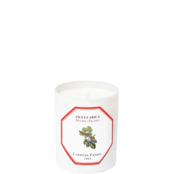 Carrière Frères Figuier – Ficus Carica Bougie Parfumée