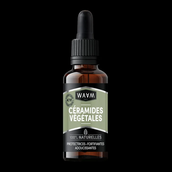 Céramides végétales