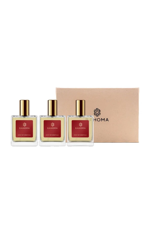 Coffret parfums d’ambiance – Spirit of Christmas – Cassis & ambre – 3 x 50ml