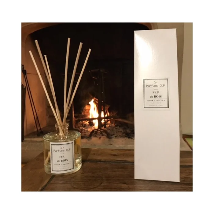 DB04 – Feu de bois