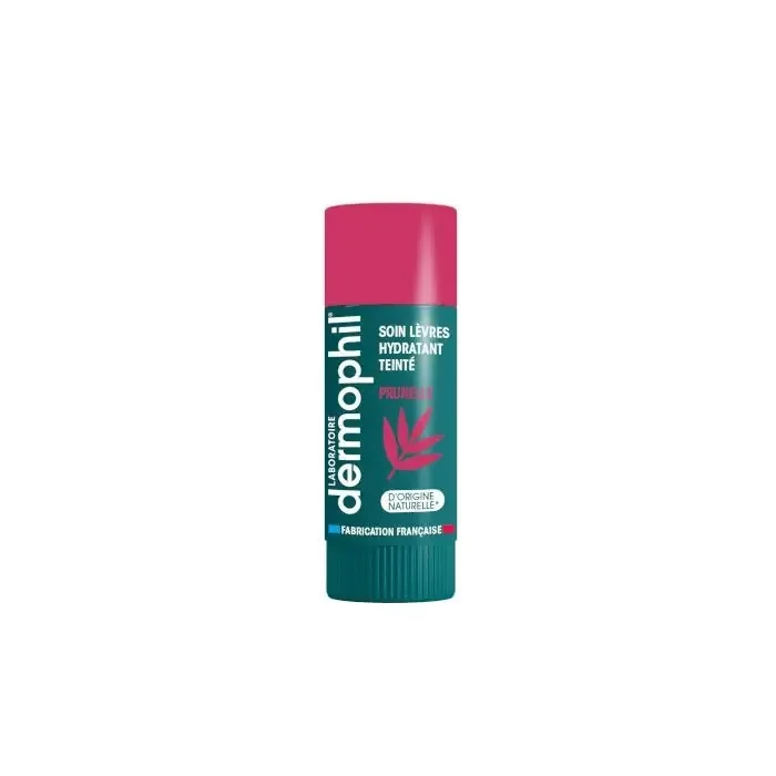 Dermophil Baume à Lèvres Hydratant Teinté Prunelle 4g