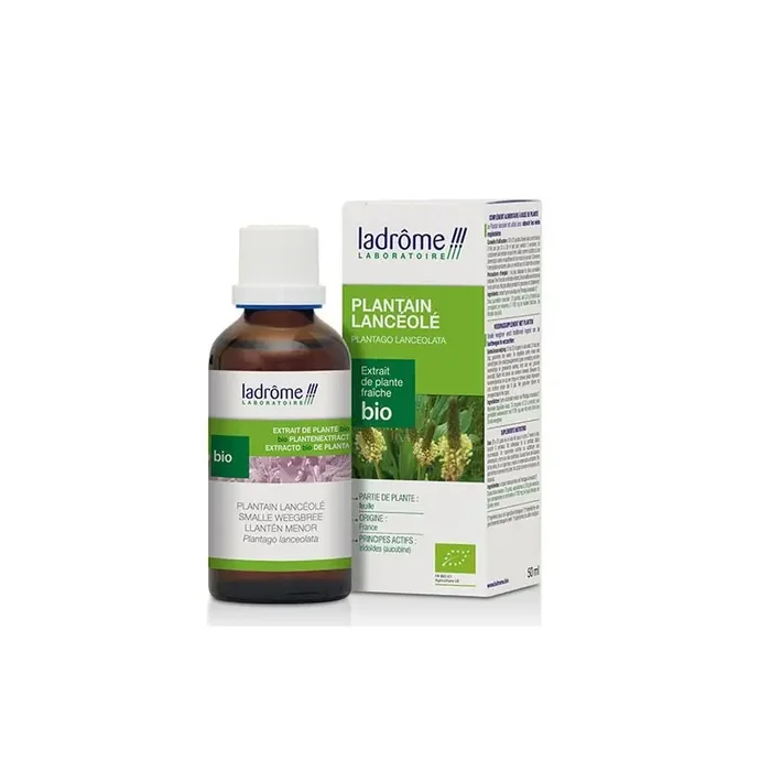 EXTRAIT DE PLANTAIN LANCÉOLÉ BIO 50ML LADROME