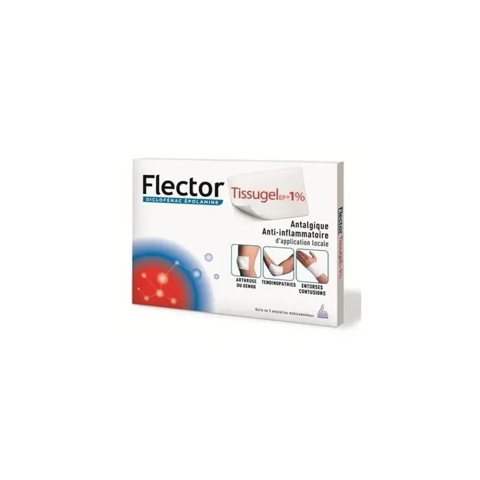 Flectortissugelep 1 % Emplatre Medicamenteux 5 enveloppes