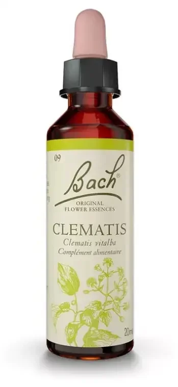 Fleurs de Bach Original Fleurs de Bach® Original Clematis / Clématite / Clematis Vitalba