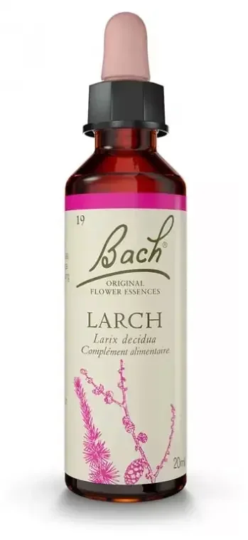 Fleurs de Bach Original Fleurs de Bach® Original Larch / Mélèze / Larix Decidua