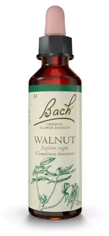 Fleurs de Bach Original Fleurs de Bach® Original Walnut / Noyer / Juglans Regia
