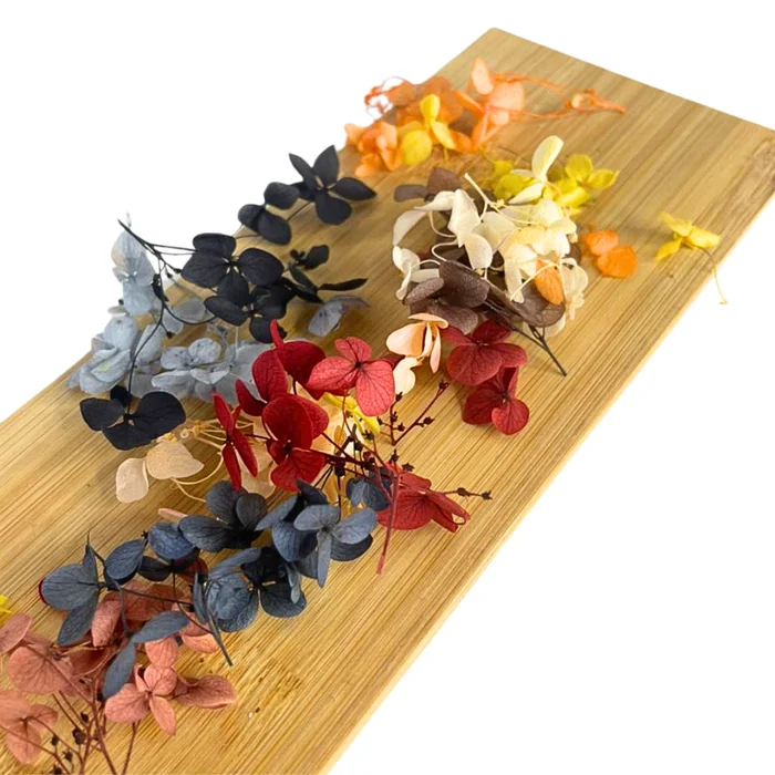 Fleurs Séchées