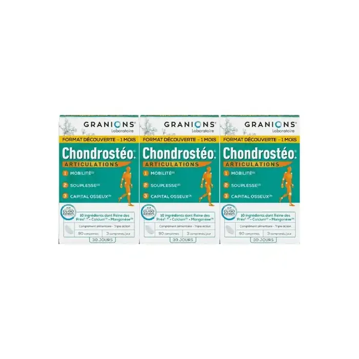 Granions chondrosteo articulations lot 3×90 comprimes