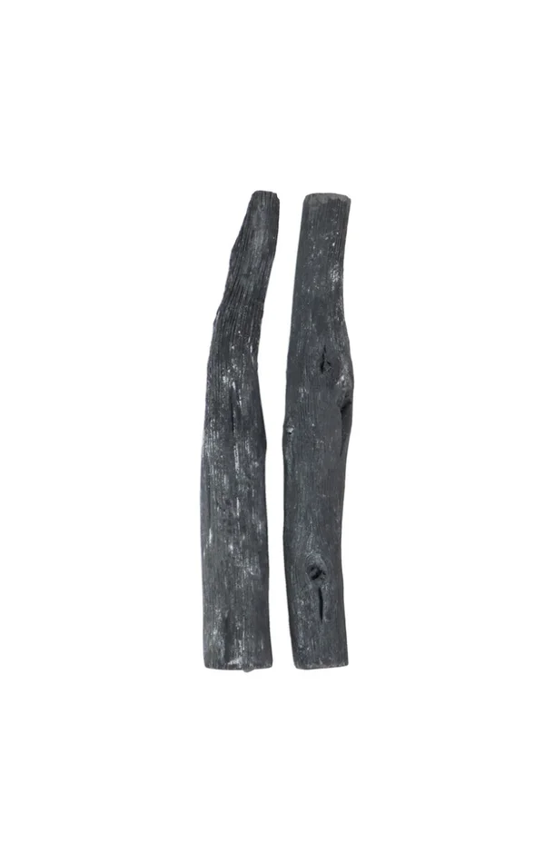 Lot de 2 charbons actifs
