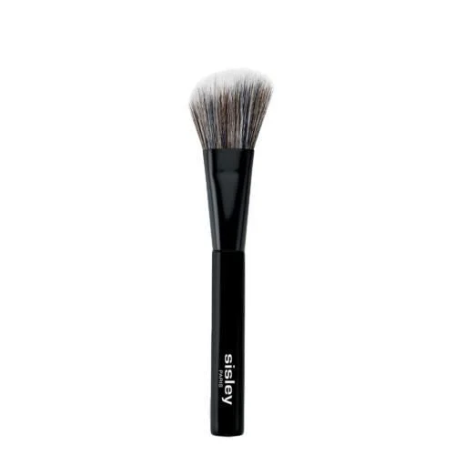 Pinceau Blush – Pinceau biseauté Blush Poudre