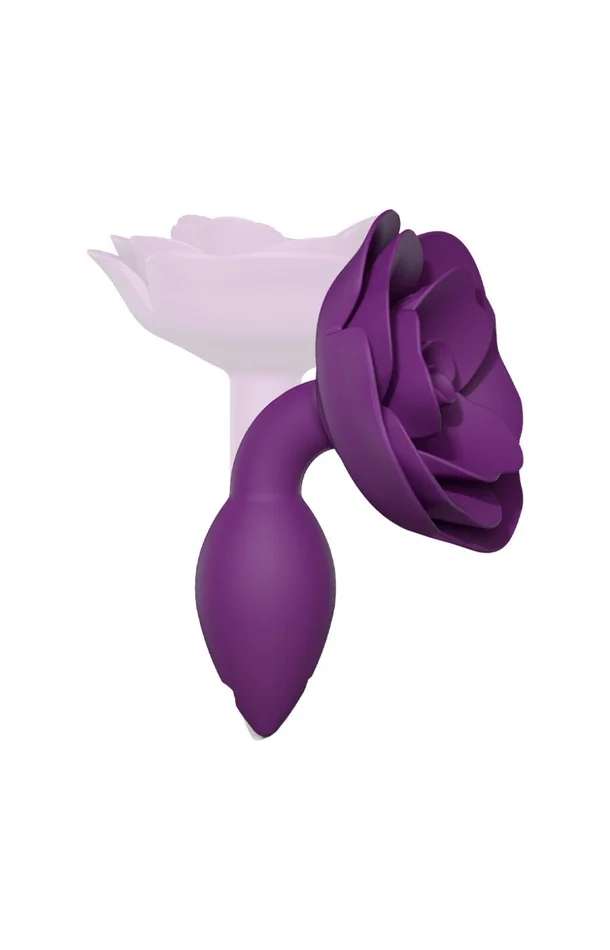 Plug anal – Open roses – Purple rain – S