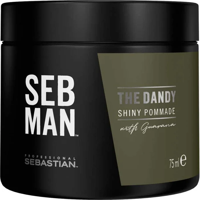 Pommade coiffante – The Dandy – Homme – Cheveux – 75 ml