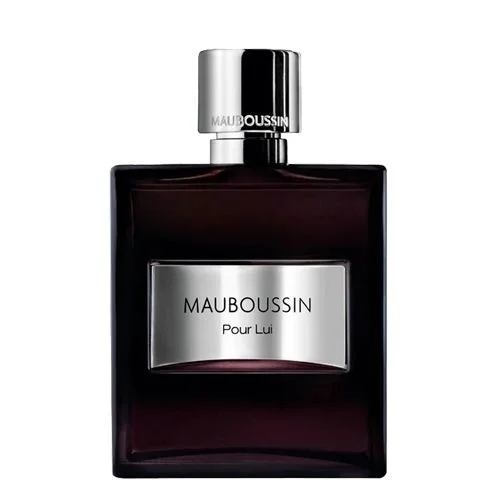 Pour Lui – Eau de Parfum – 100 ml