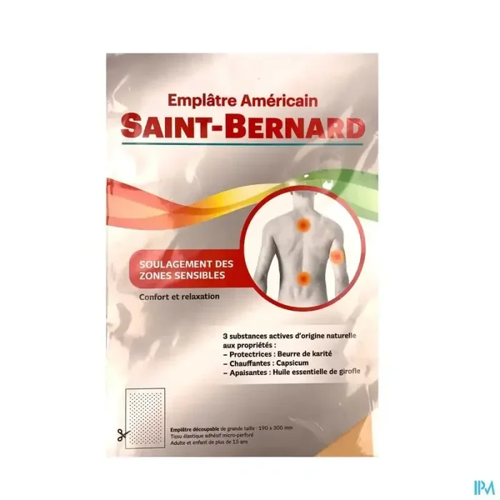 Saint bernard emplatre gm