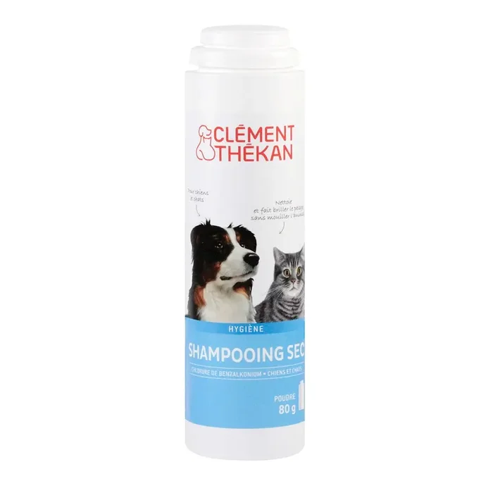 Shampooing sec 80g