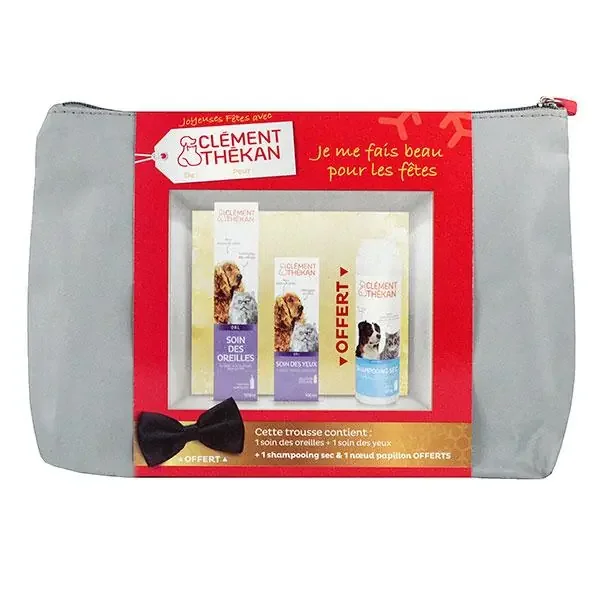 Trousse de Noël pour chiens et chats