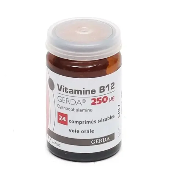 Vitamine B12 250 µg – 24 comprimés