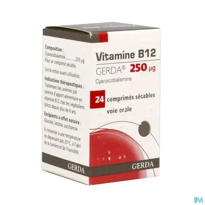 Vitamine b12 gerda 250mcg comprimé sécable 24